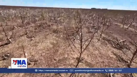 Mỹ ghi nhận hạn hán kỷ lục