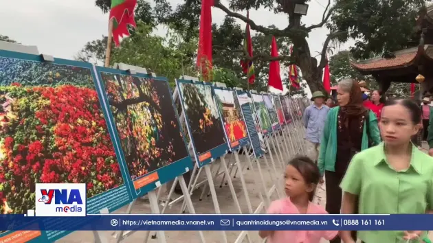 Hải Phòng: Trưng bày Di sản thế giới chùa Thanh Mai