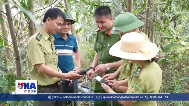 Nghệ An chủ động ứng phó, quyết liệt phòng cháy rừng