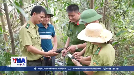 Nghệ An chủ động ứng phó, quyết liệt phòng cháy rừng