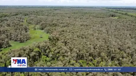 Nhiều khu vực ở Đồng Tháp dự báo cháy rừng cấp cực kỳ nguy hiểm