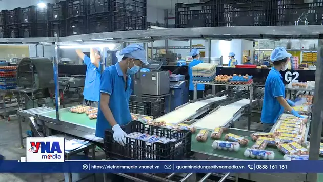 Doanh nghiệp tiết giảm chi phí, giữ nhịp thị trường