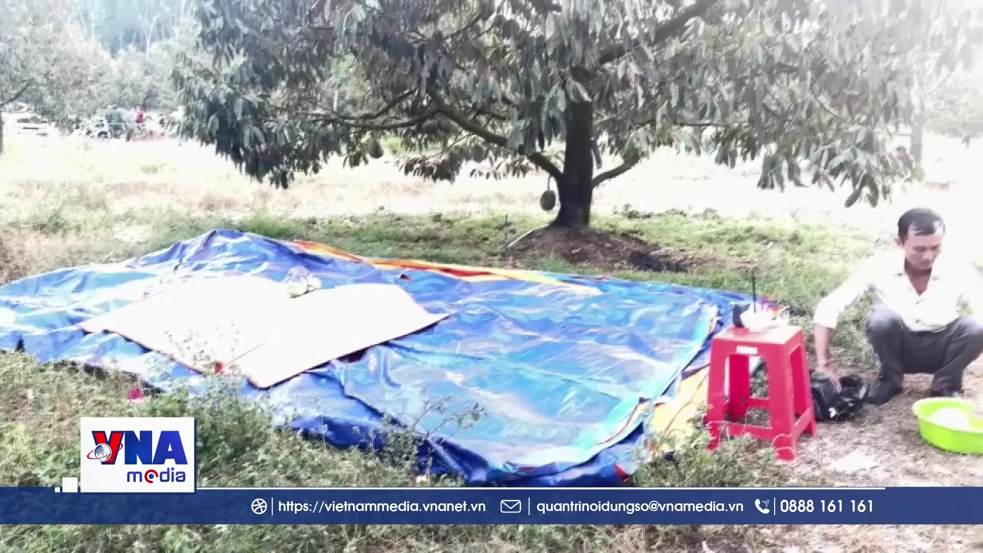 Điều tra vụ người đàn ông tử vong trong vườn, nghi trúng đạn