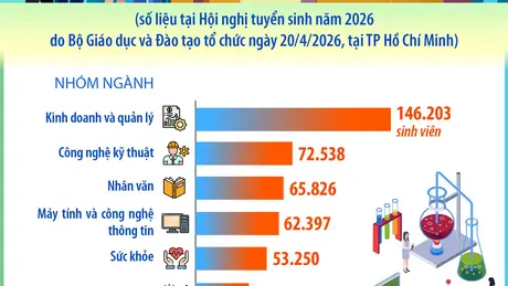 12 nhóm ngành đào tạo có số lượng sinh viên theo học cao nhất năm 2025