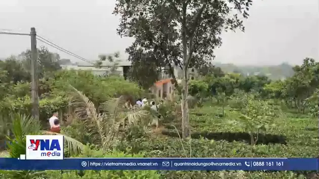 Yên Bài - Tọa độ xanh ngay giữa lòng Thủ đô Hà Nội