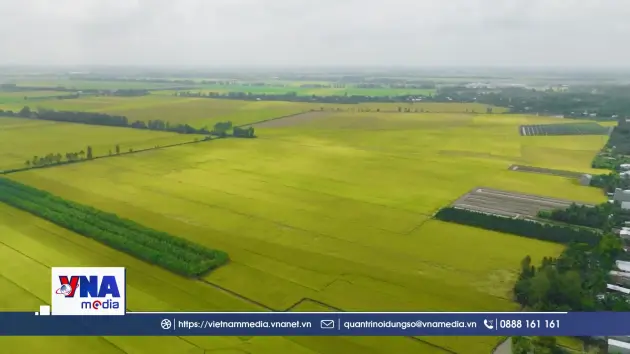 Chuyển đổi xanh không chỉ dừng ở khẩu hiệu