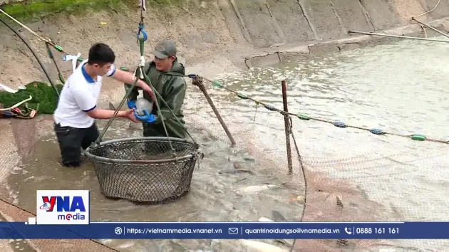 Ninh Bình ứng dụng công nghệ cao trong nuôi trồng thủy sản