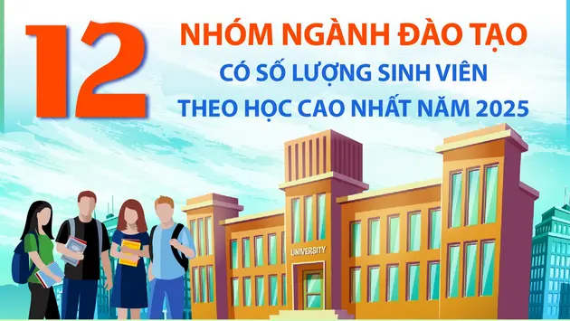12 nhóm ngành đào tạo có số lượng sinh viên theo học cao nhất năm 2025