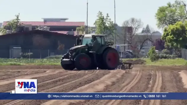 Cảnh báo nắng nóng cực đoan đe dọa nông lương toàn cầu