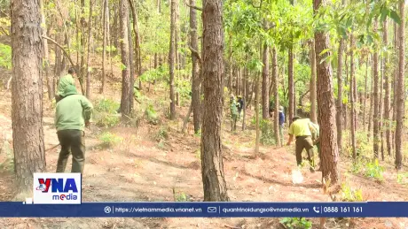 Gia Lai chủ động ứng phó với nguy cơ cháy rừng