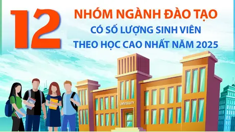 12 nhóm ngành đào tạo có số lượng sinh viên theo học cao nhất năm 2025