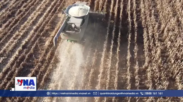 Dự báo hiện tượng El Nino sẽ quay lại vào giữa năm nay