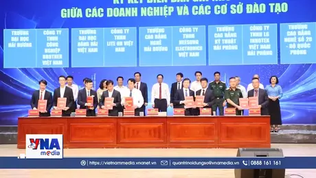 Hải Phòng thu hút nguồn nhân lực cho các doanh nghiệp trong Khu Kinh tế, Khu Công nghiệp