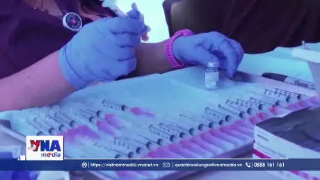 WHO kêu gọi cải thiện khả năng tiếp cận vaccine phòng cúm mùa