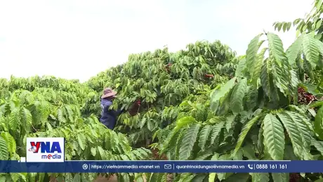 Thúc đẩy nông nghiệp phát thải thấp