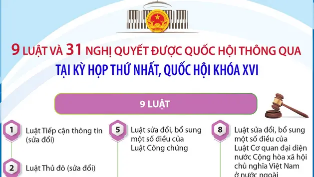 Thông tin về 9 luật và 31 nghị quyết được Quốc hội thông qua tại Kỳ họp thứ nhất, Quốc hội khóa XVI