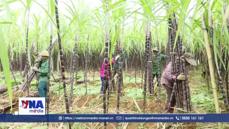 Cách làm phù hợp tạo ra giá trị lớn