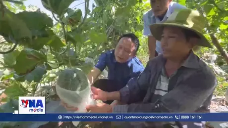 Quảng Ngãi: Hợp tác xã “chờ” nguồn lực phát triển bền vững