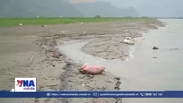 Nguy cơ ảnh hưởng môi trường nước từ rác thải trên hồ Thác Bà