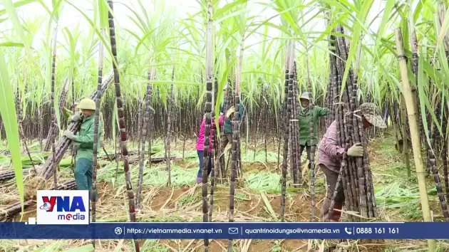 Cách làm phù hợp tạo ra giá trị lớn