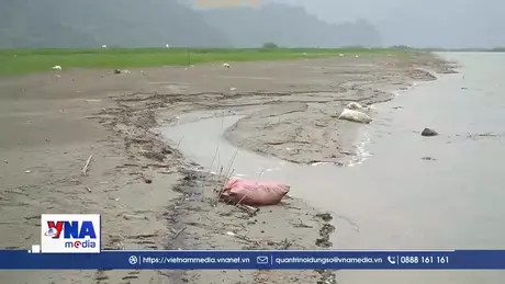 Nguy cơ ảnh hưởng môi trường nước từ rác thải trên hồ Thác Bà