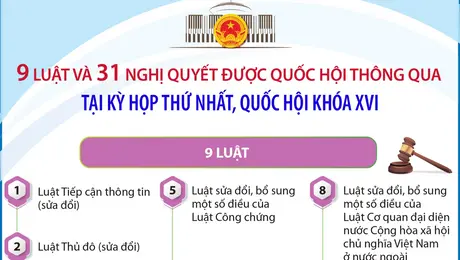 Thông tin về 9 luật và 31 nghị quyết được Quốc hội thông qua tại Kỳ họp thứ nhất, Quốc hội khóa XVI