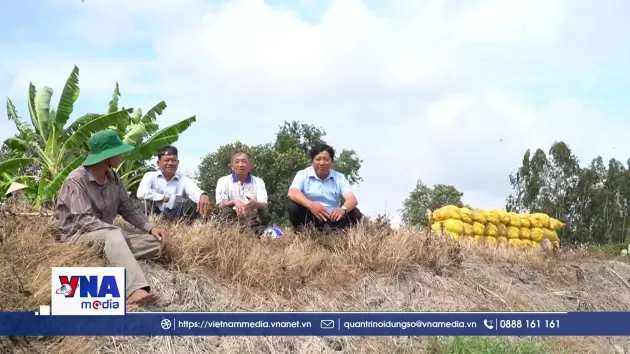 Cơ giới hóa thu gom rơm rạ diện rộng bằng bản đồ