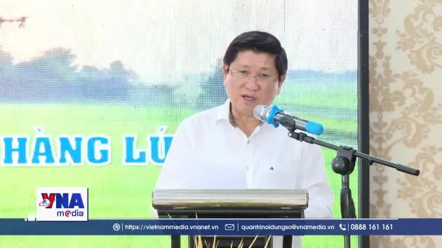Cà Mau Đẩy mạnh kết nối sản xuất, tiêu thụ ngành hàng lúa gạo