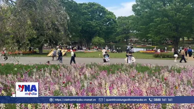 Rực rỡ sắc hoa Xuân tại Công viên Showa Kinen