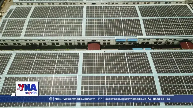 Việt Nam hoàn thiện khung pháp lý, mở cửa thị trường tín chỉ carbon quốc tế