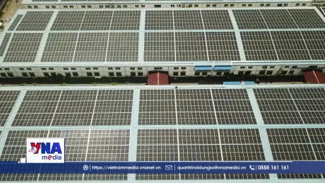 Việt Nam hoàn thiện khung pháp lý, mở cửa thị trường tín chỉ carbon quốc tế