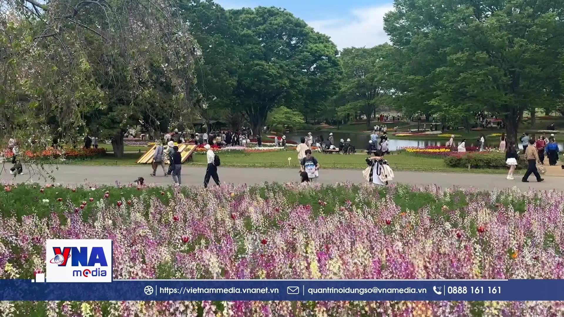 Rực rỡ sắc hoa Xuân tại Công viên Showa Kinen