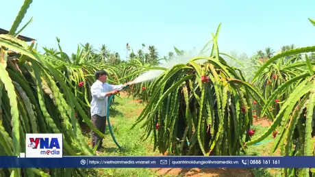 Hợp tác xã tìm chỗ đứng trong chuỗi liên kết kinh tế tư nhân