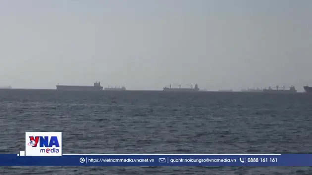 IMO kêu gọi giảm leo thang căng thẳng khu vực eo biển Hormuz