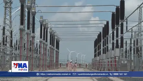 Giảm thiểu rủi ro cho doanh nghiệp khi tham gia thị trường carbon