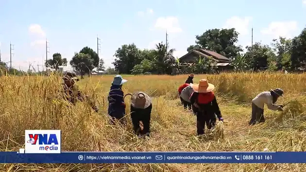 Thái Lan lên kế hoạch ứng phó siêu El Nino sắp tới
