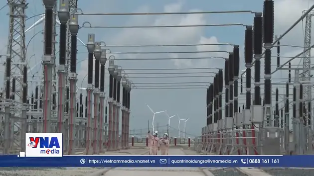 Giảm thiểu rủi ro cho doanh nghiệp khi tham gia thị trường carbon