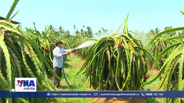 Hợp tác xã tìm chỗ đứng trong chuỗi liên kết kinh tế tư nhân