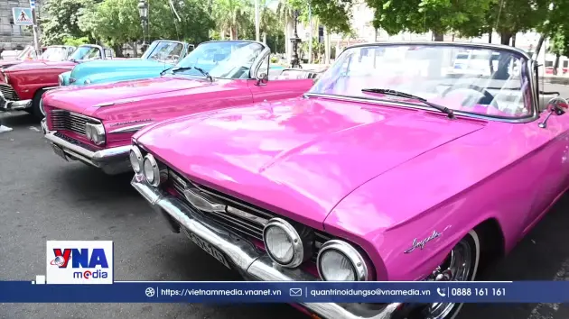 Xe ô tô cổ - một phần di sản văn hóa của Cuba
