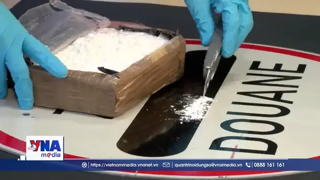 Đức thu giữ lượng lớn cocaine tại cảng biển