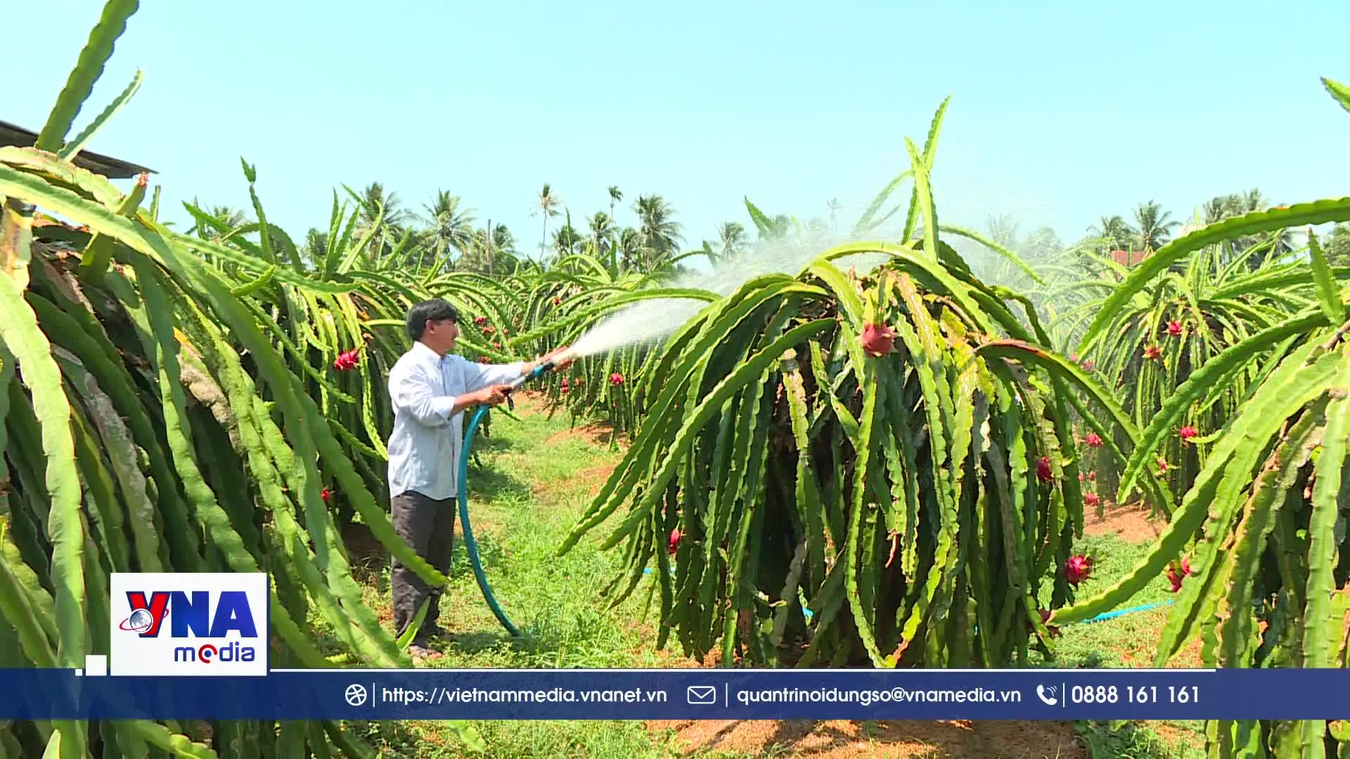 Hợp tác xã tìm chỗ đứng trong chuỗi liên kết kinh tế tư nhân