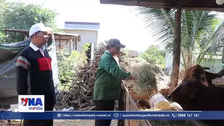 Người già làng tận tụy vì buôn làng