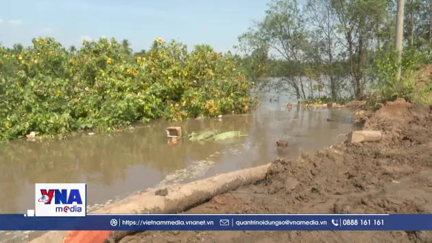 Nhơn Mỹ: Khắc khoải chờ những tuyến kè kiên cố