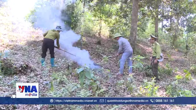 Hiệu quả trong ứng dụng công nghệ trong cảnh báo cháy rừng