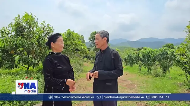 Đề xuất của bà con đồng bào dân tộc thiểu số Hải Phòng