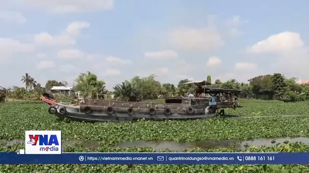 Máy cuộn lục bình mở lối cho dòng chảy và sinh kế