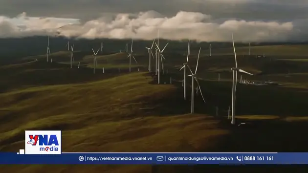 Năng lượng sạch đáp ứng được nhu cầu điện toàn cầu năm 2025