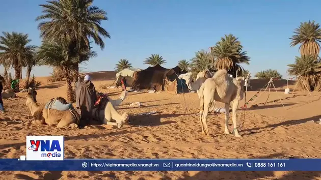 ​​​​​​​Algeria biến sa mạc thành điểm đến quốc tế