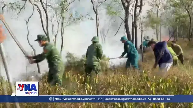 Quảng Trị khống chế, dập tắt kịp thời vụ cháy rừng phòng hộ