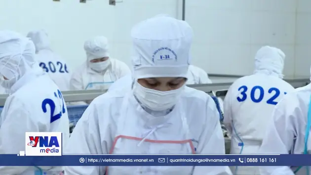 Hỗ trợ doanh nghiệp nhỏ và vừa hiện thực hóa mục tiêu Net Zero